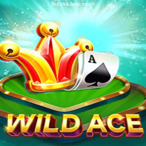Exploring the Thrilling World of WildAce in FelizKK Cassino Online